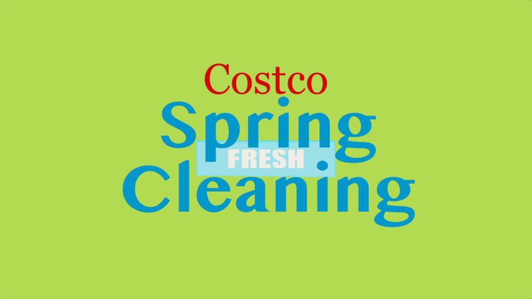 spring logo